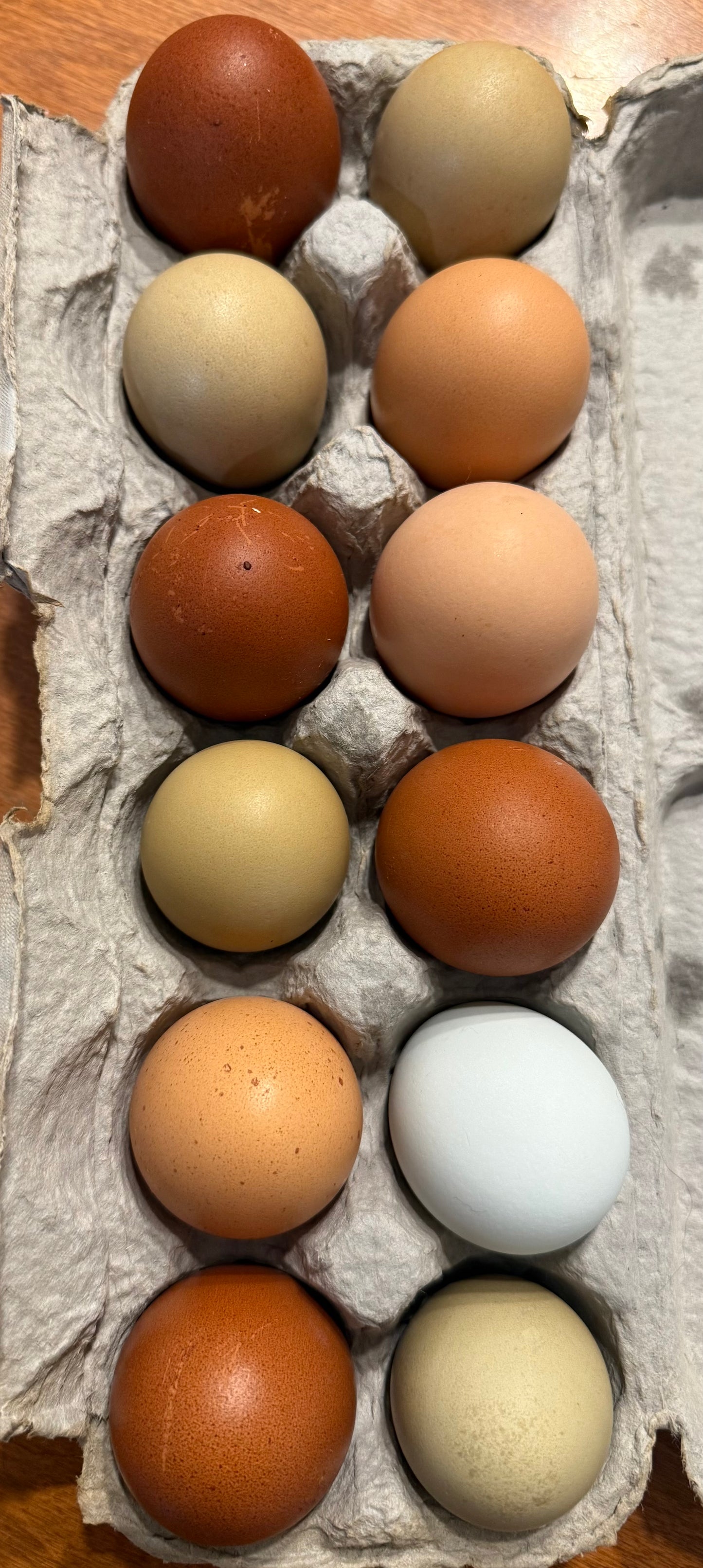 Farm Fresh eggs